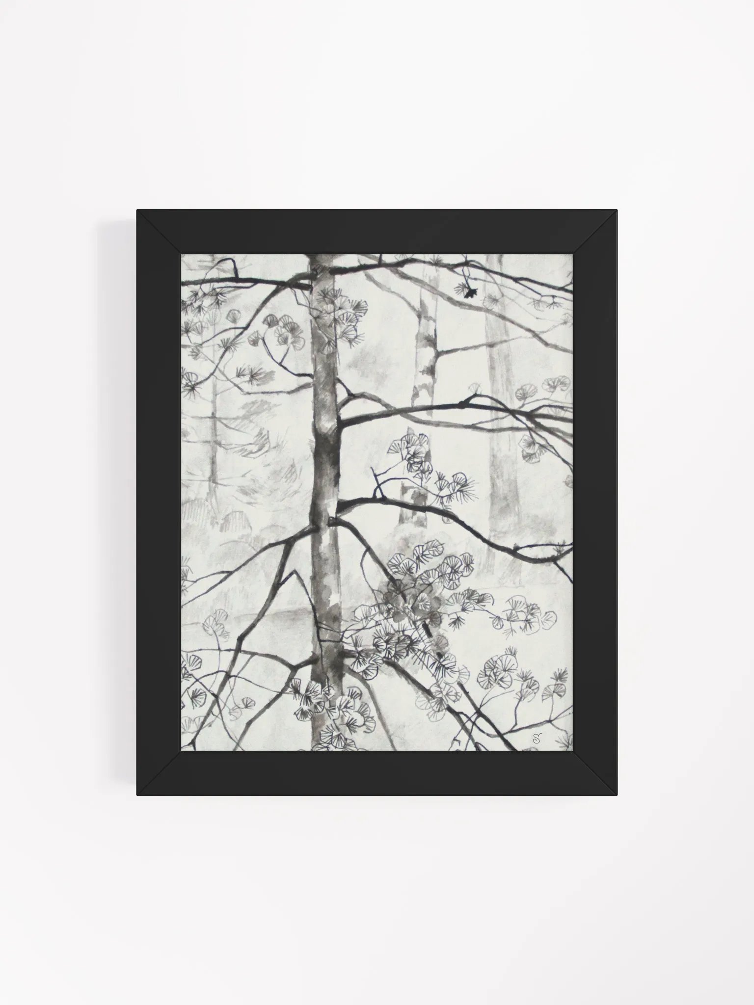 Birch Trees Sketch Framed Poster - Birches product image (12)