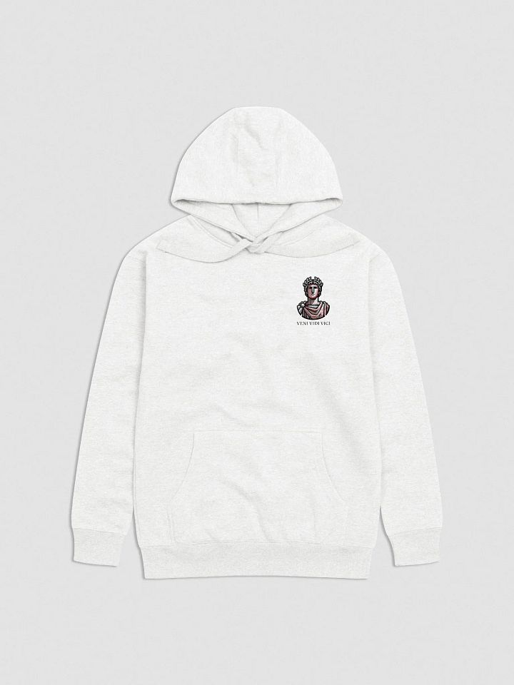 Veni Vidi Vici Hoodie product image (2)