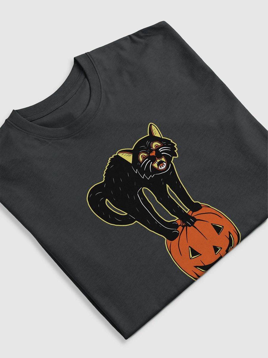 Retro Black Cat and Pumpkin product image (5)