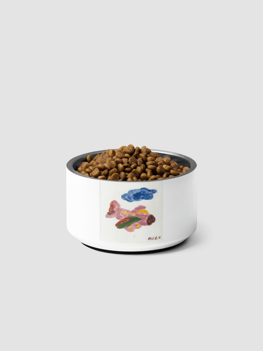 Kid Airplane (Pet bowl) product image (6)