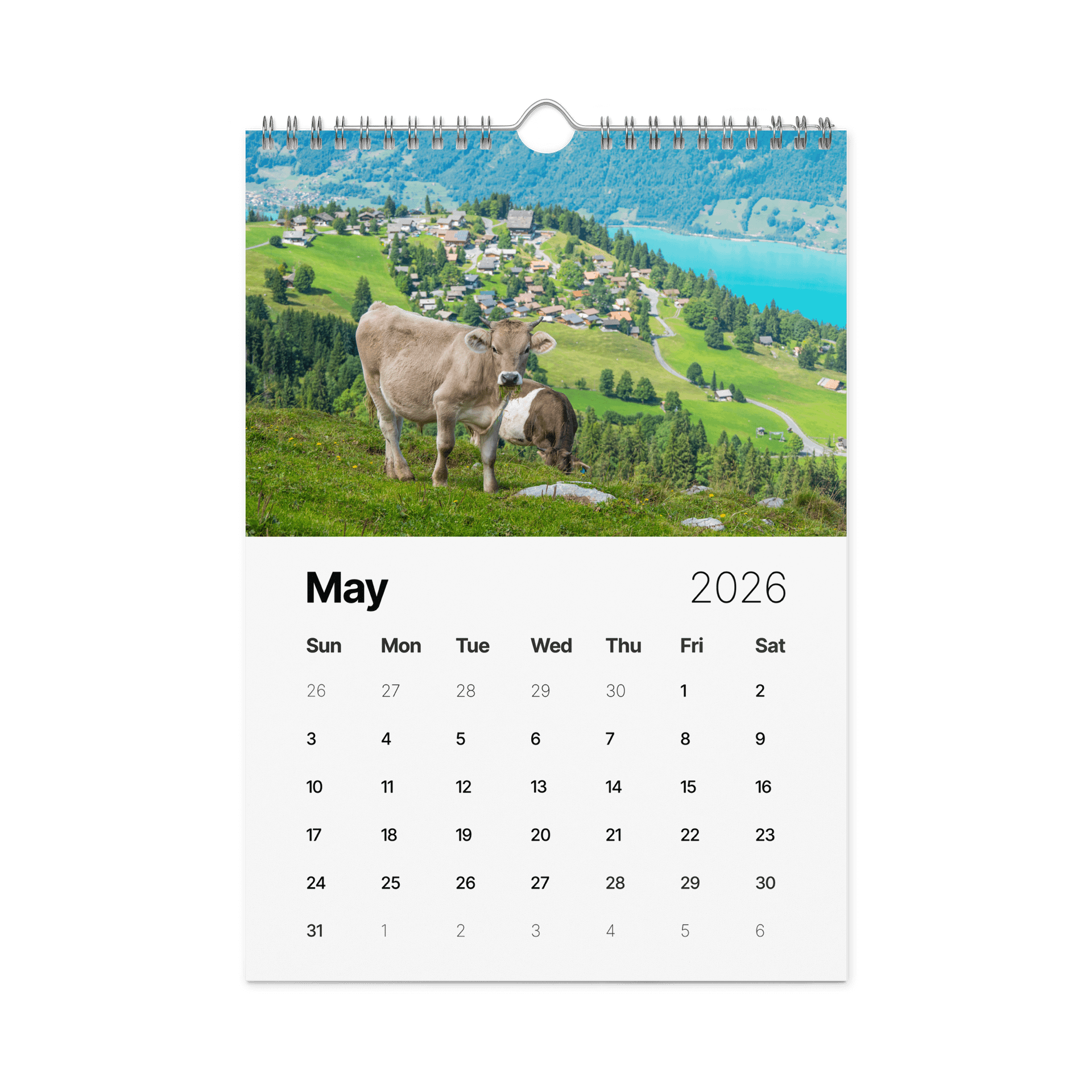 Swiss Cow Calendar 2026 product image (6)