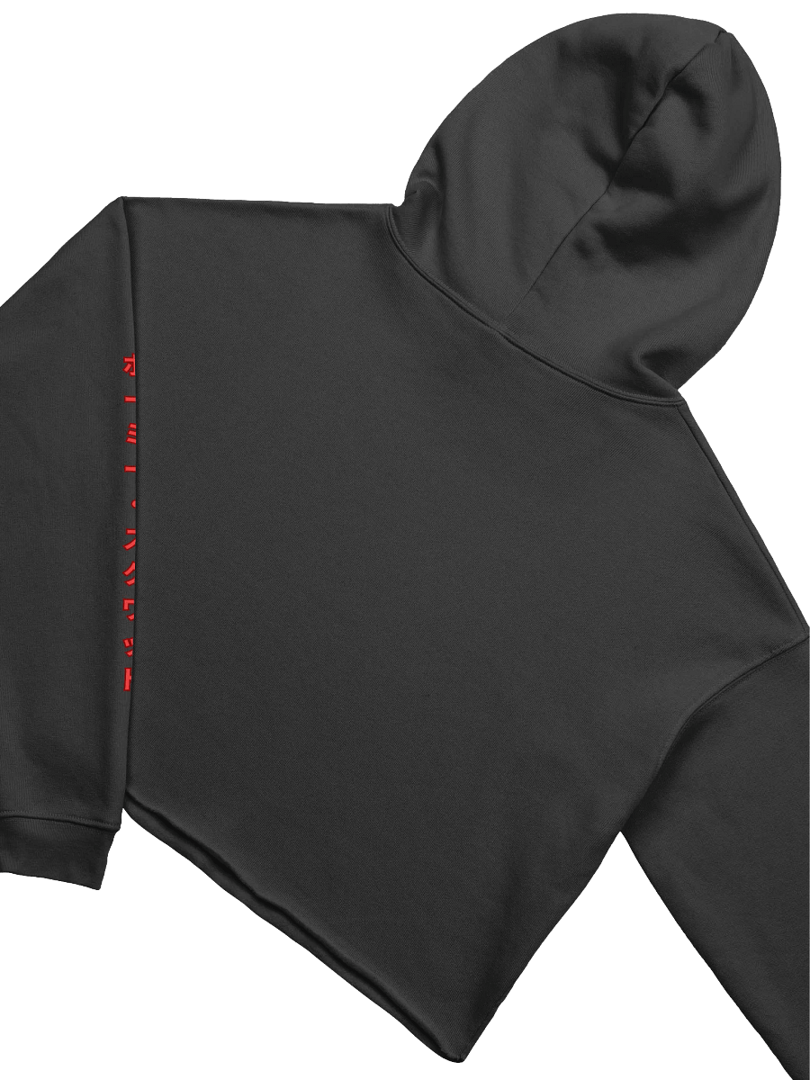 Y2K Style Cropped Hoodie V2 product image (4)