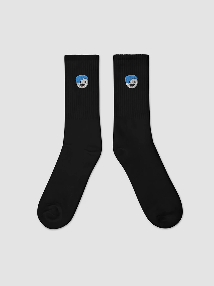 Embroidered Socks - SOCCO SC200