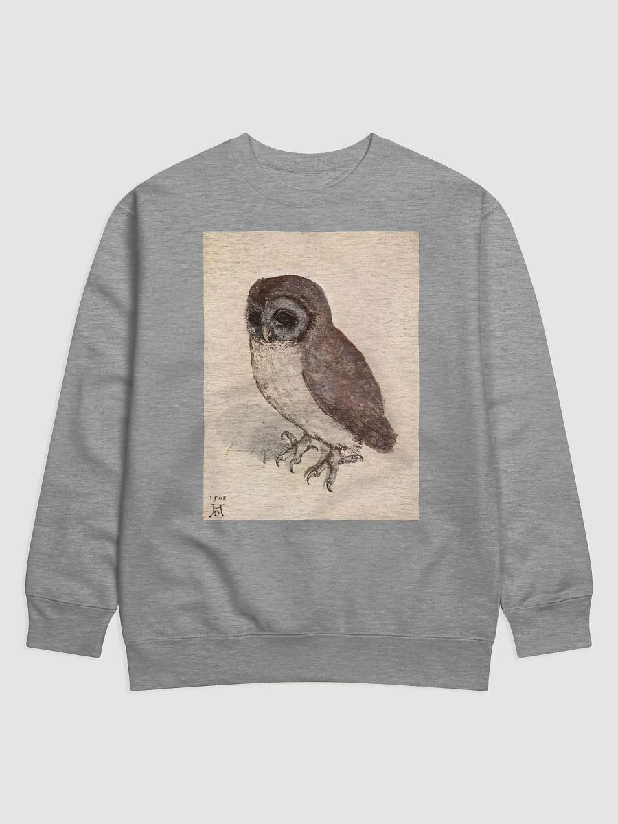 Albrecht Durer The Little Owl Sweatshirt product image (3)