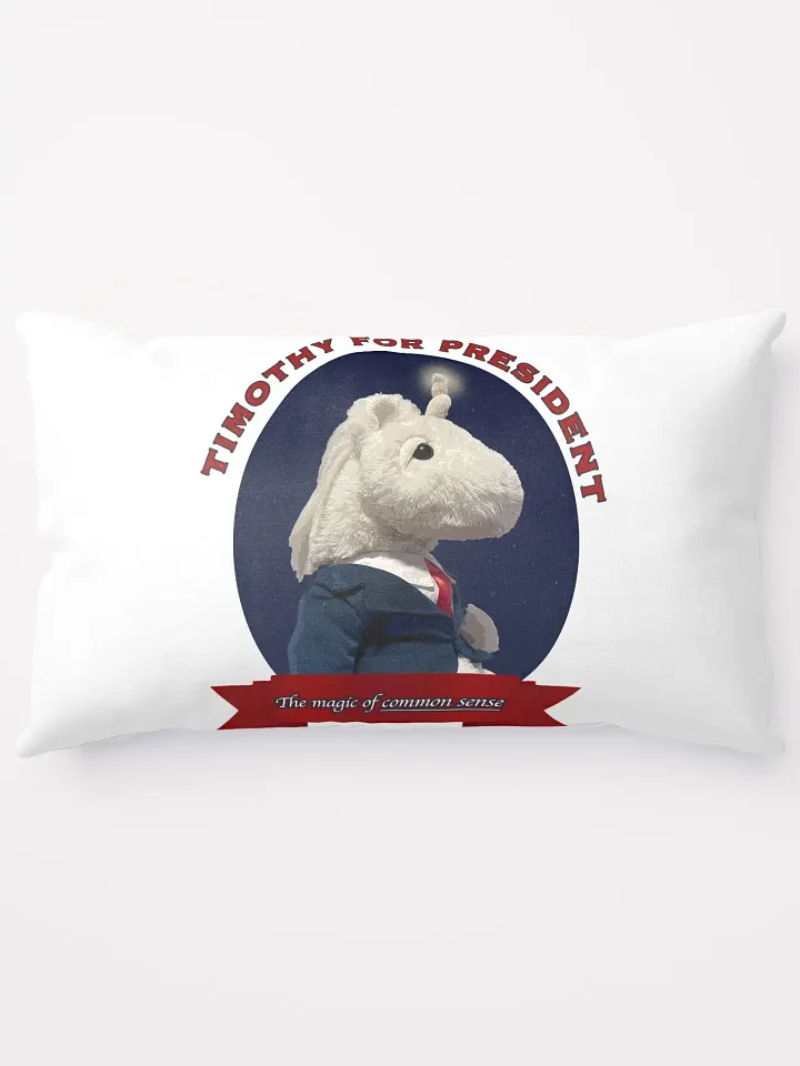 Timothy for President - Pillow product image (1)