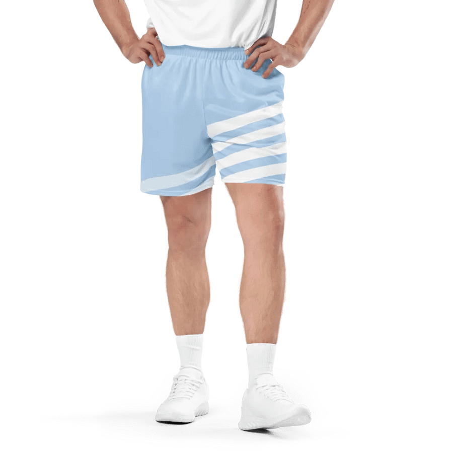 Striped Skyline Recycled Mesh Shorts product image (1)