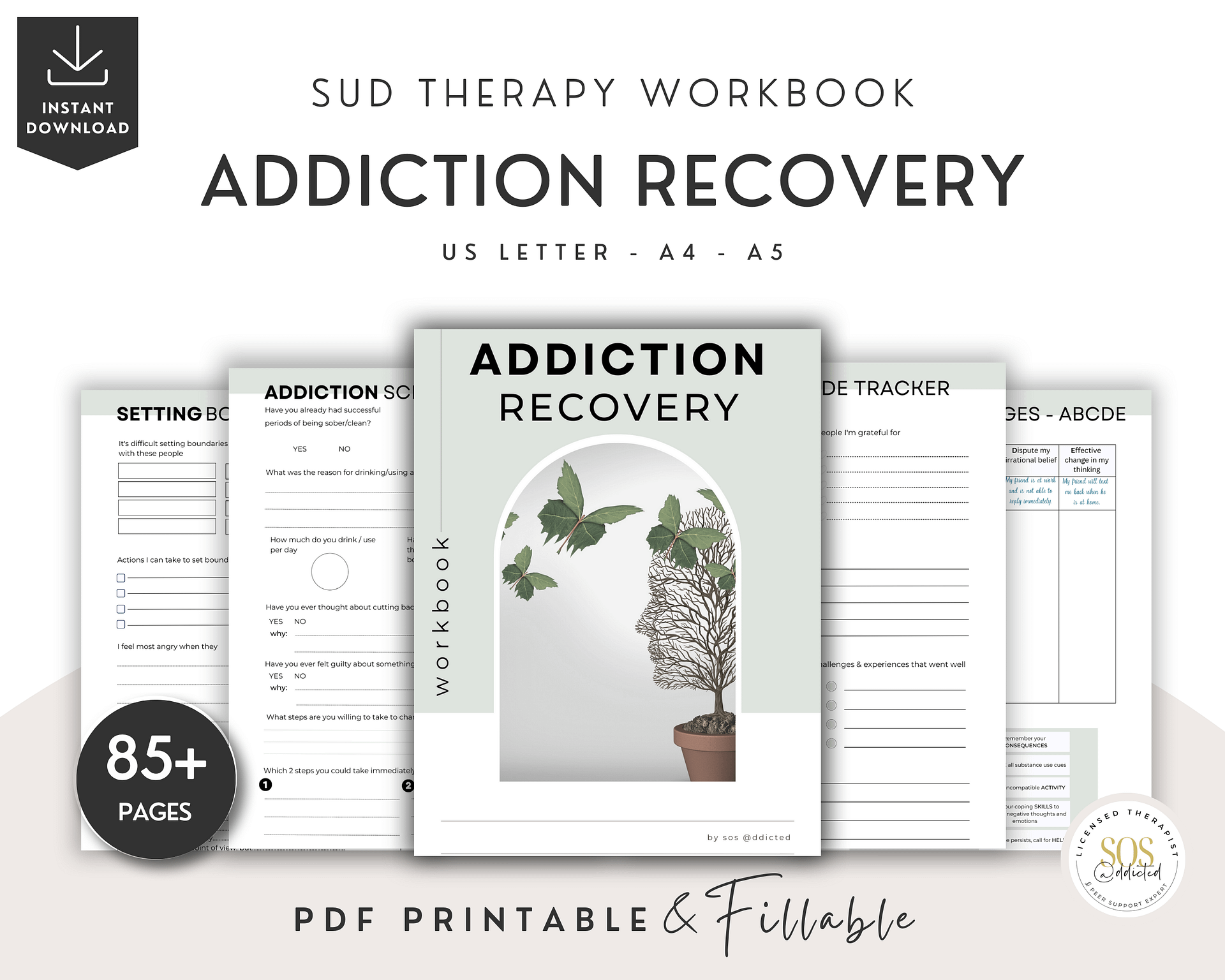 Addiction Recovery Workbook and Sobriety Journal - DIGITAL product image (1)