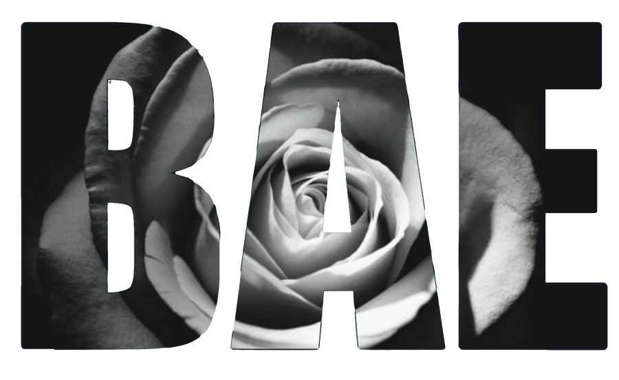White rose product image (9)