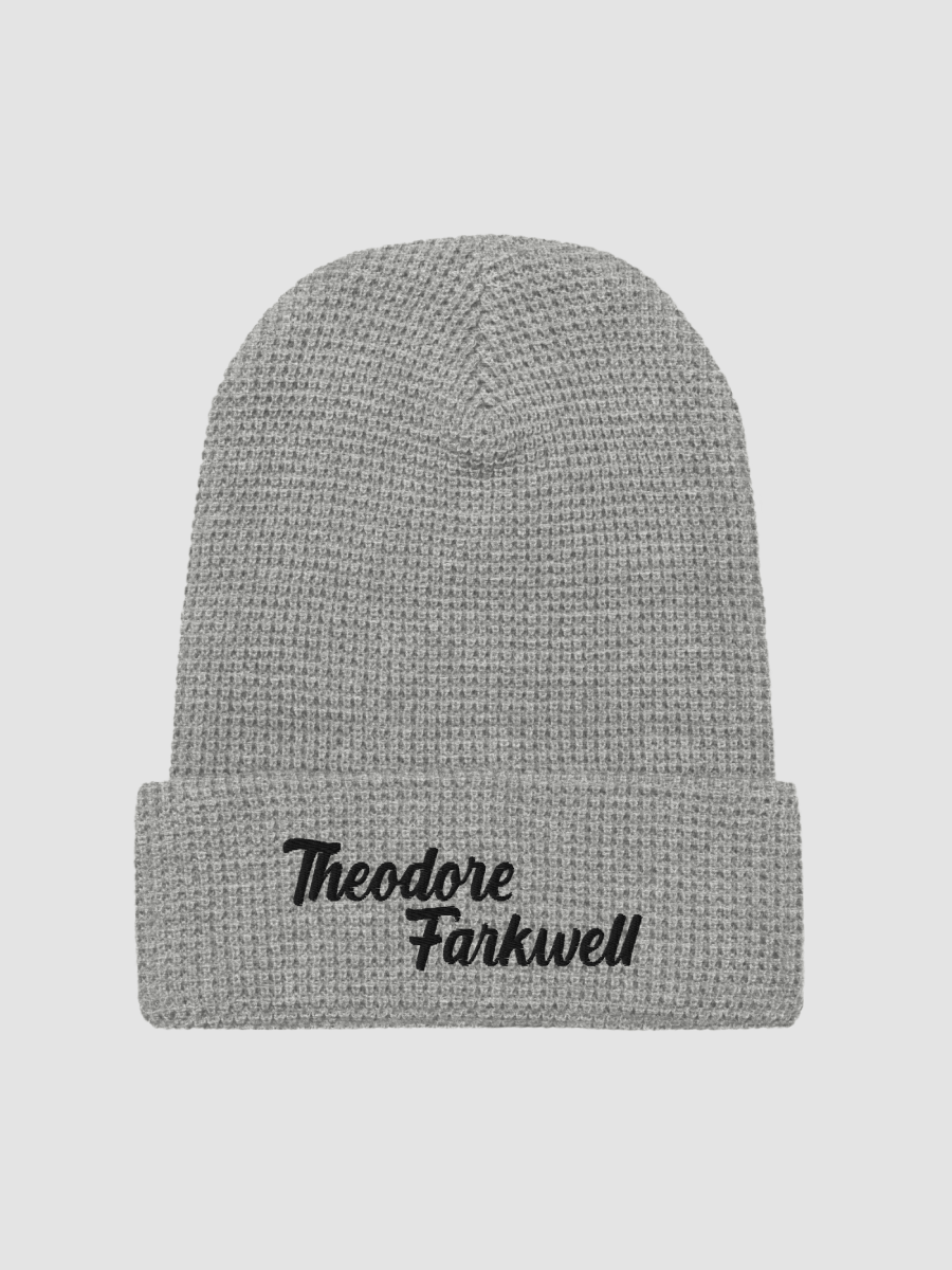 THEODORE FARKWELL BEANIE product image (3)