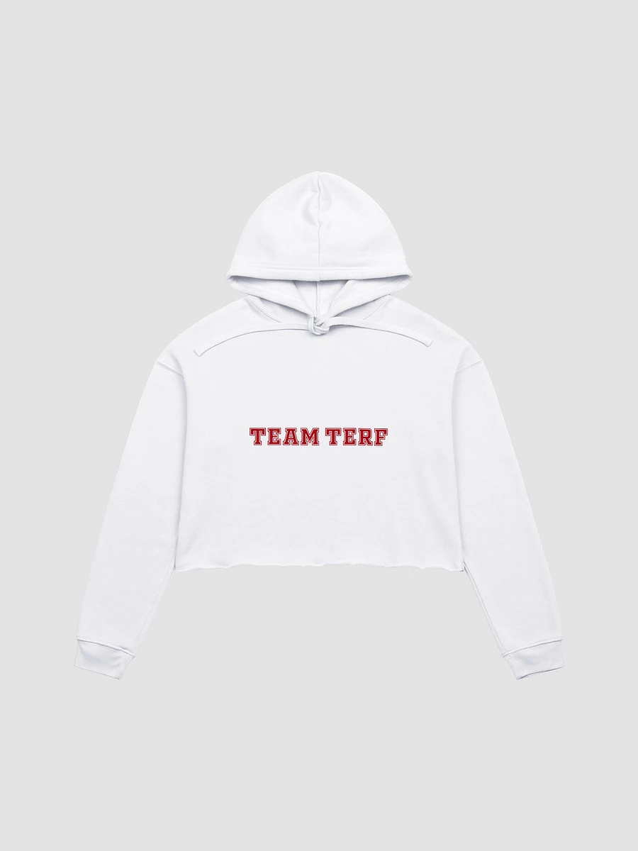 TEAM TERF CROP HOODIE product image (1)