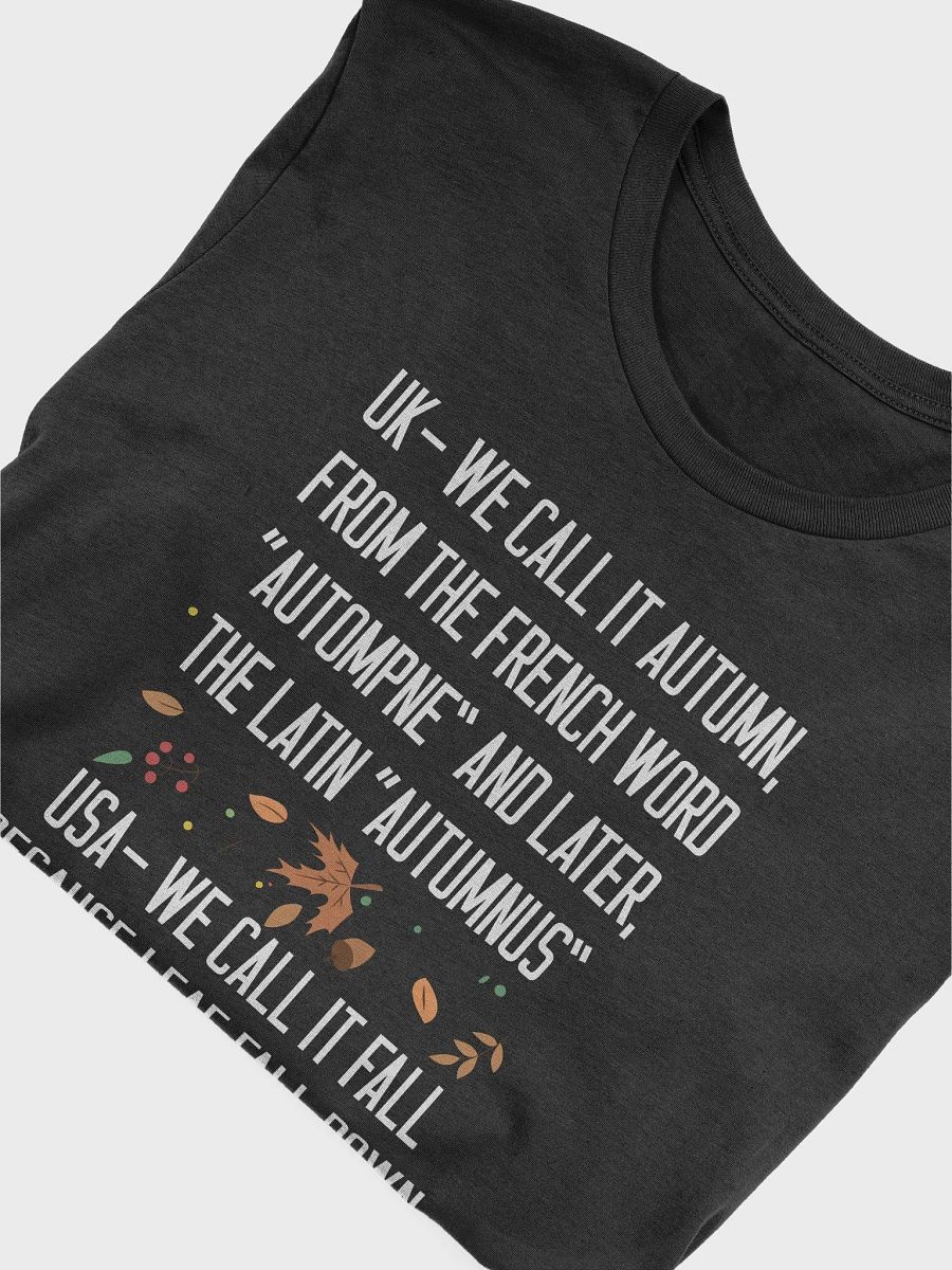 🍁 UK vs USA Autumn Humor T-Shirt | Funny Fall Word Origins Shirt | Quirky Autumn Season Tee product image (39)