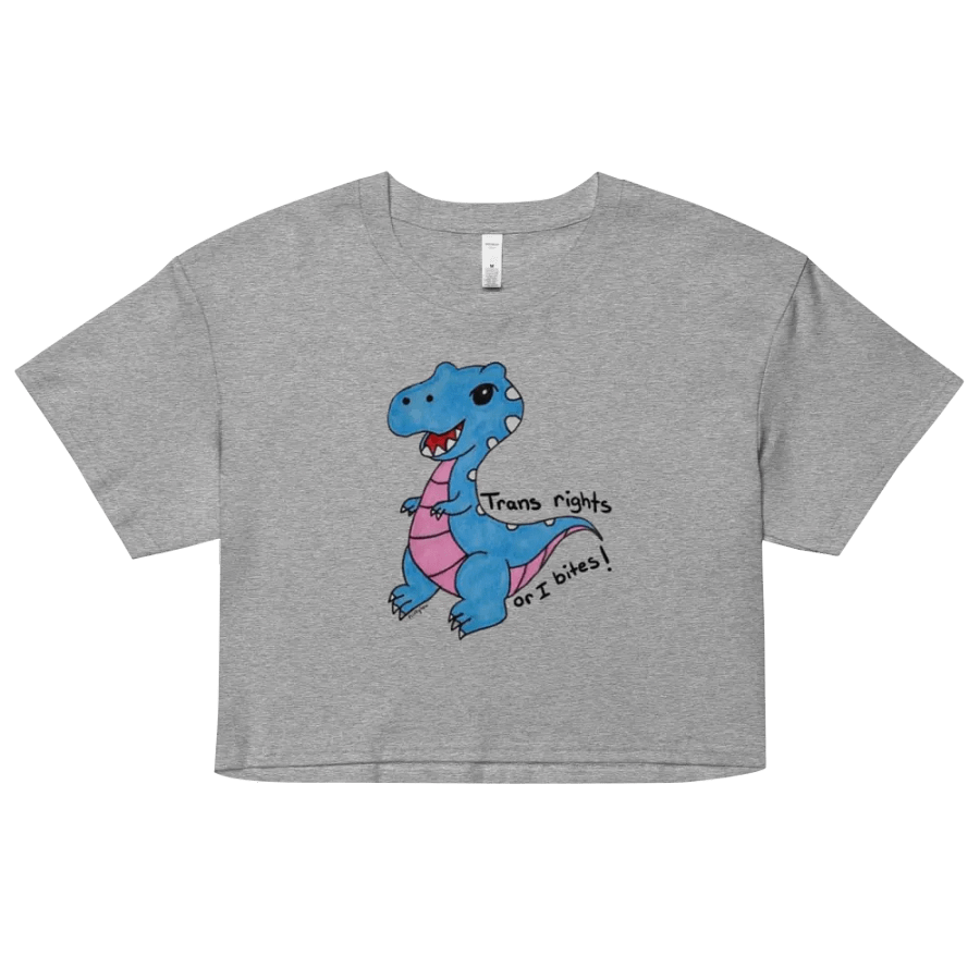 Trans Rights! product image (22)