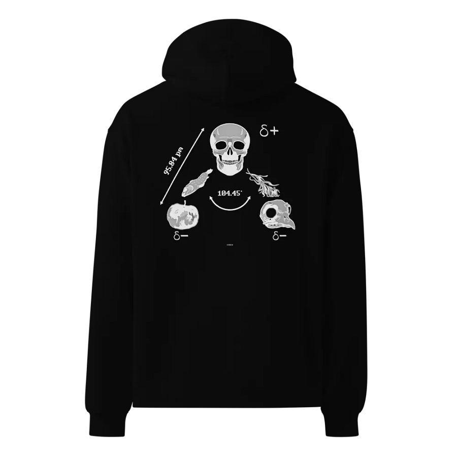 Saga Hydropolitique ( Black Edition ) product image (10)