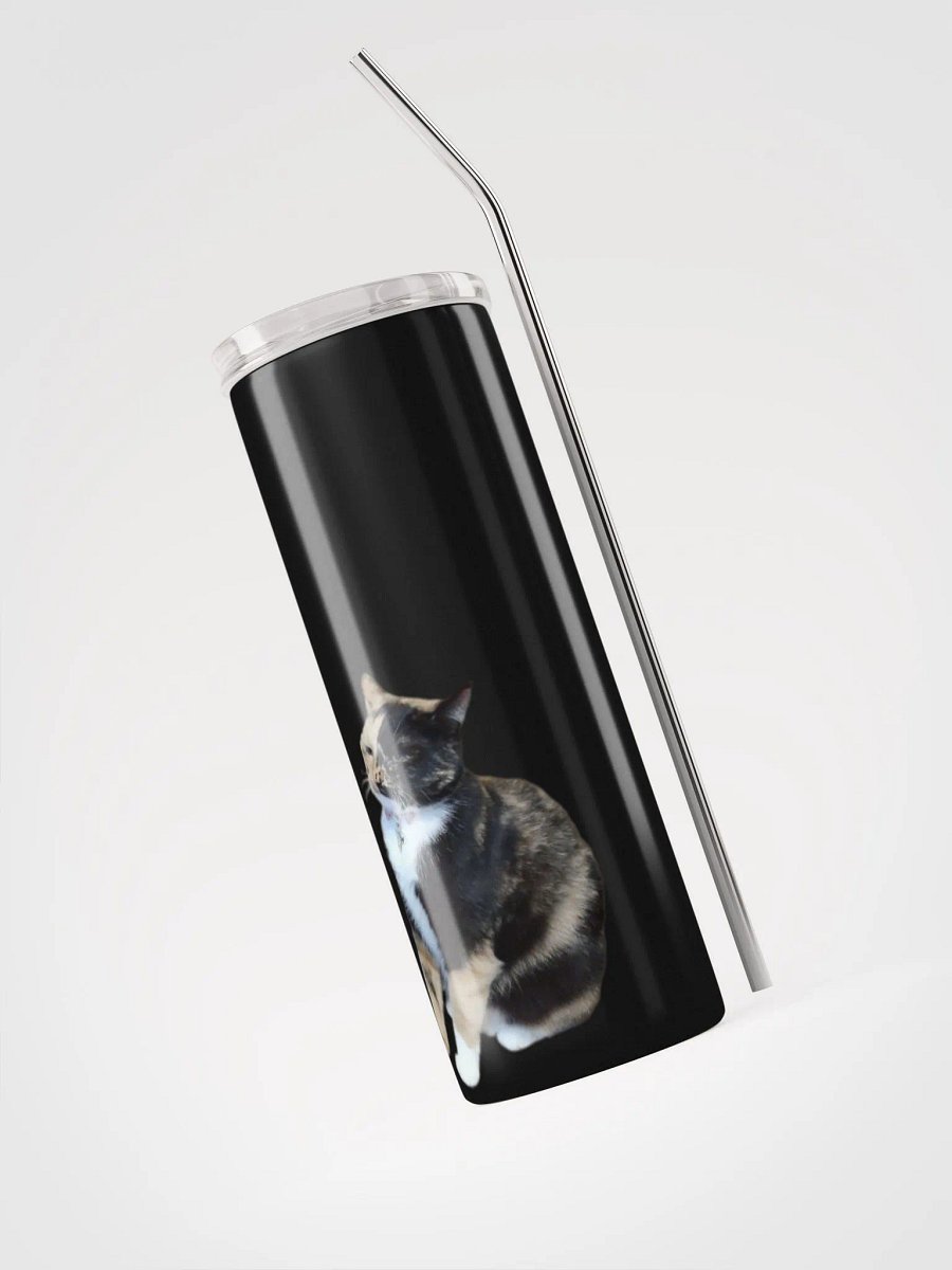 Lyra Judgment Stainless Steel Tumbler product image (3)