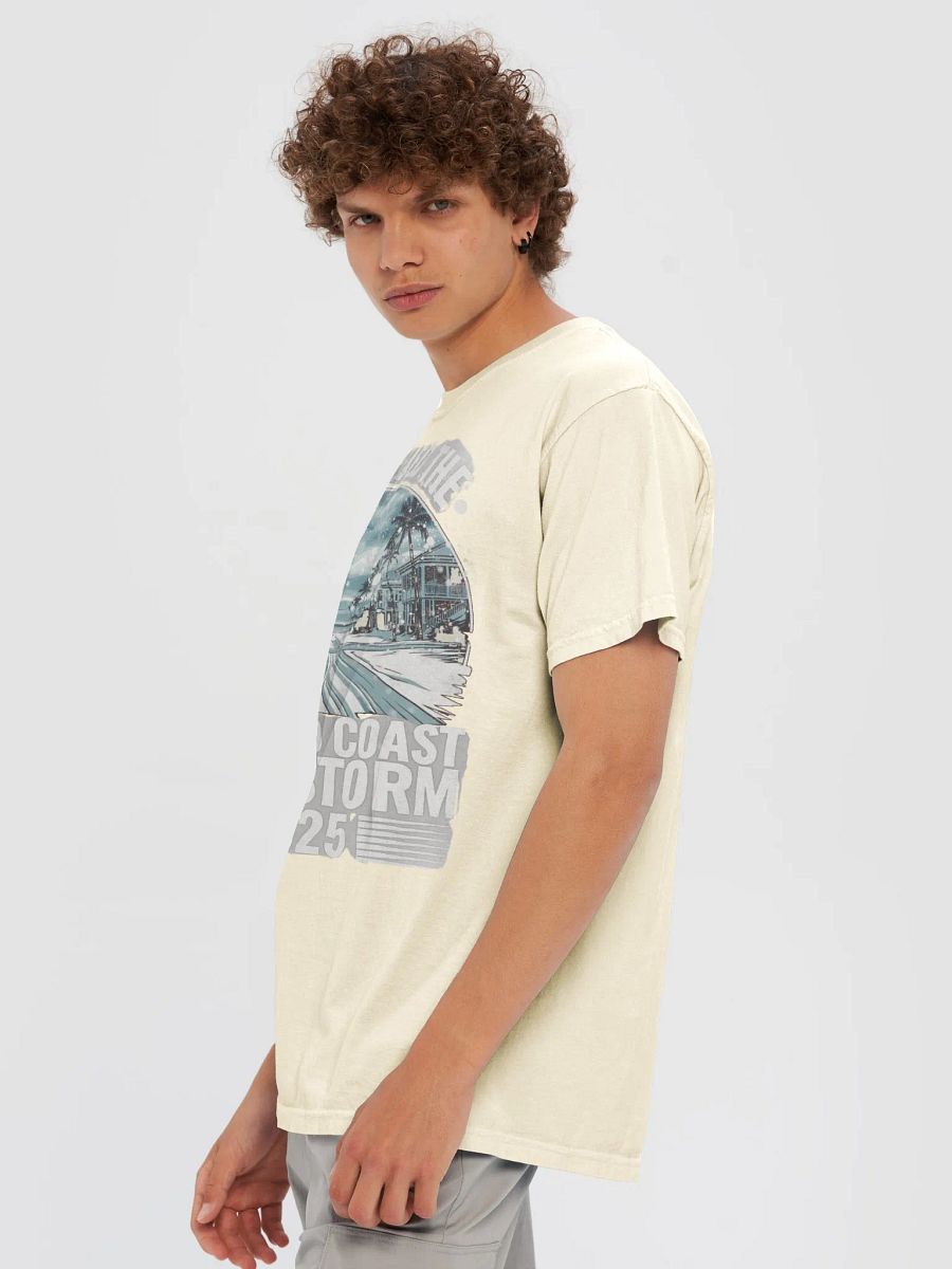 I Survived the Emerald Coast Snowstorm 2025 T-Shirt - Comfort Colors product image (6)