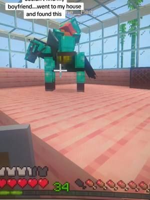 #gamergirl #TwitchStreamer #fyp #mincraft 