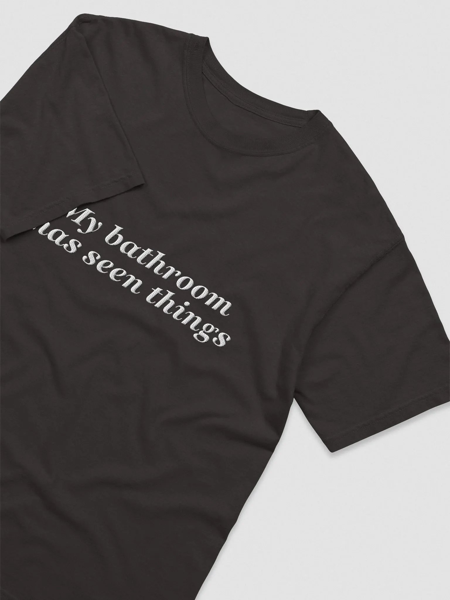 'My Bathroon Has Seen' Embroidered Tee product image (3)