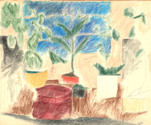 Plants in a Window 02.83 print product image (1)