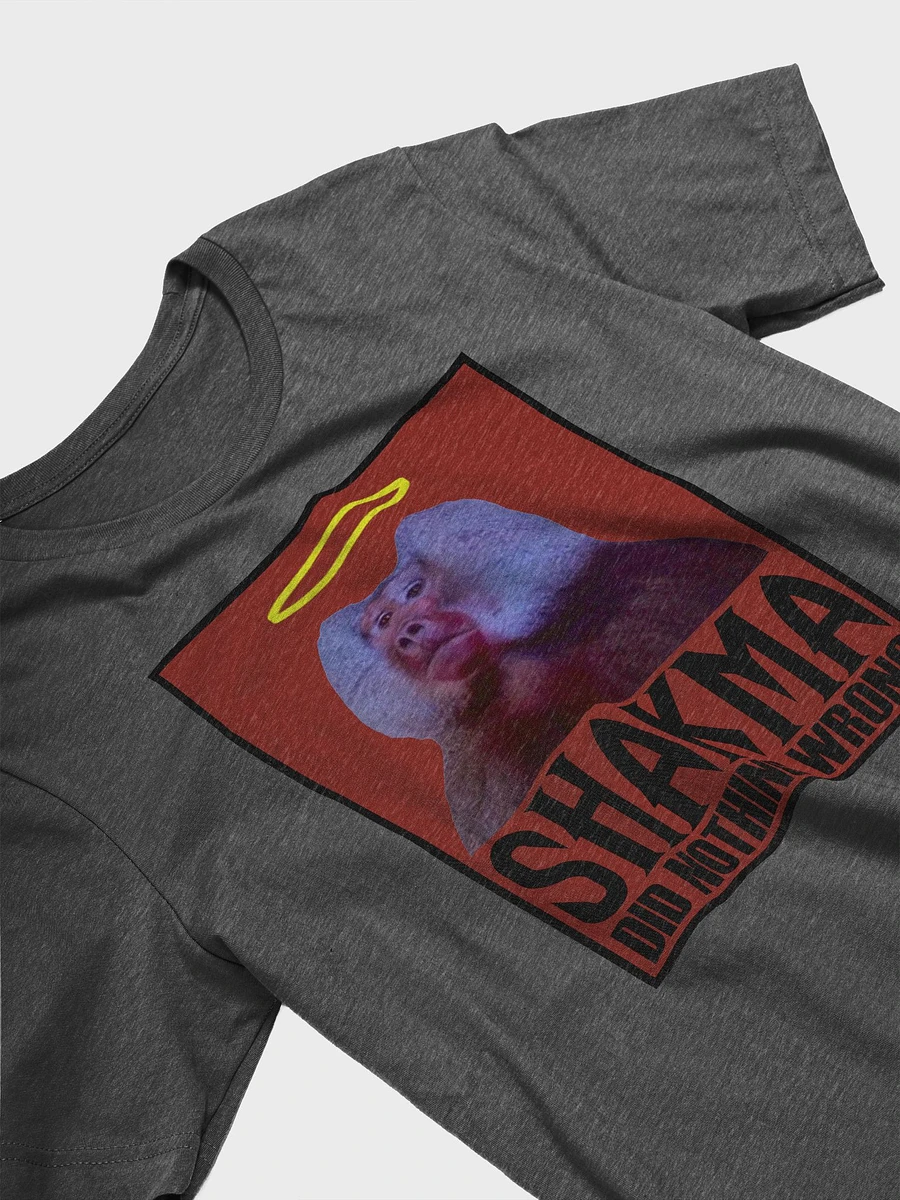 Shakma Did Nothing Wrong product image (17)