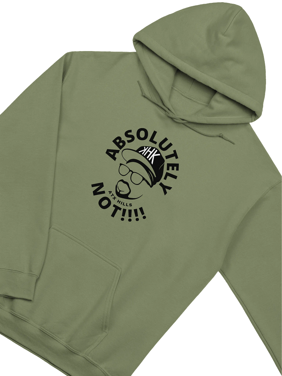 Absolutely Not Unisex Hoodie product image (22)
