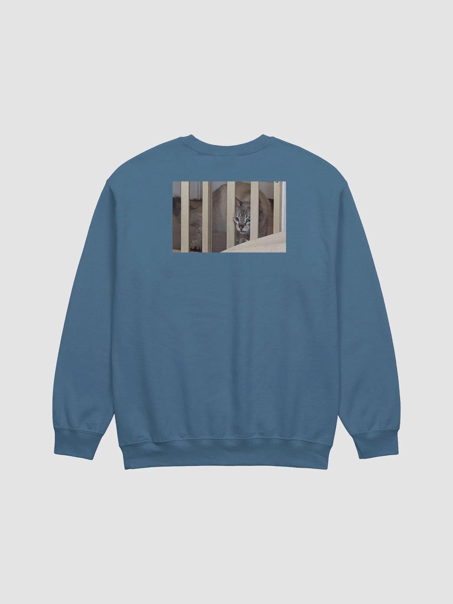 Cat Jail product image (6)