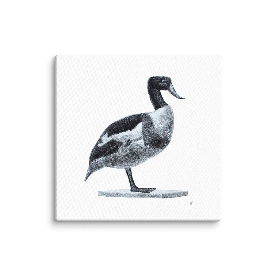 Blank Canvas: Unleash Your Artistic Vision - Duck product image (1)