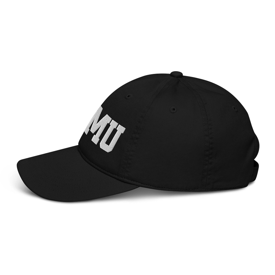 AAMU Organic Dad Hat by Econscious product image (3)
