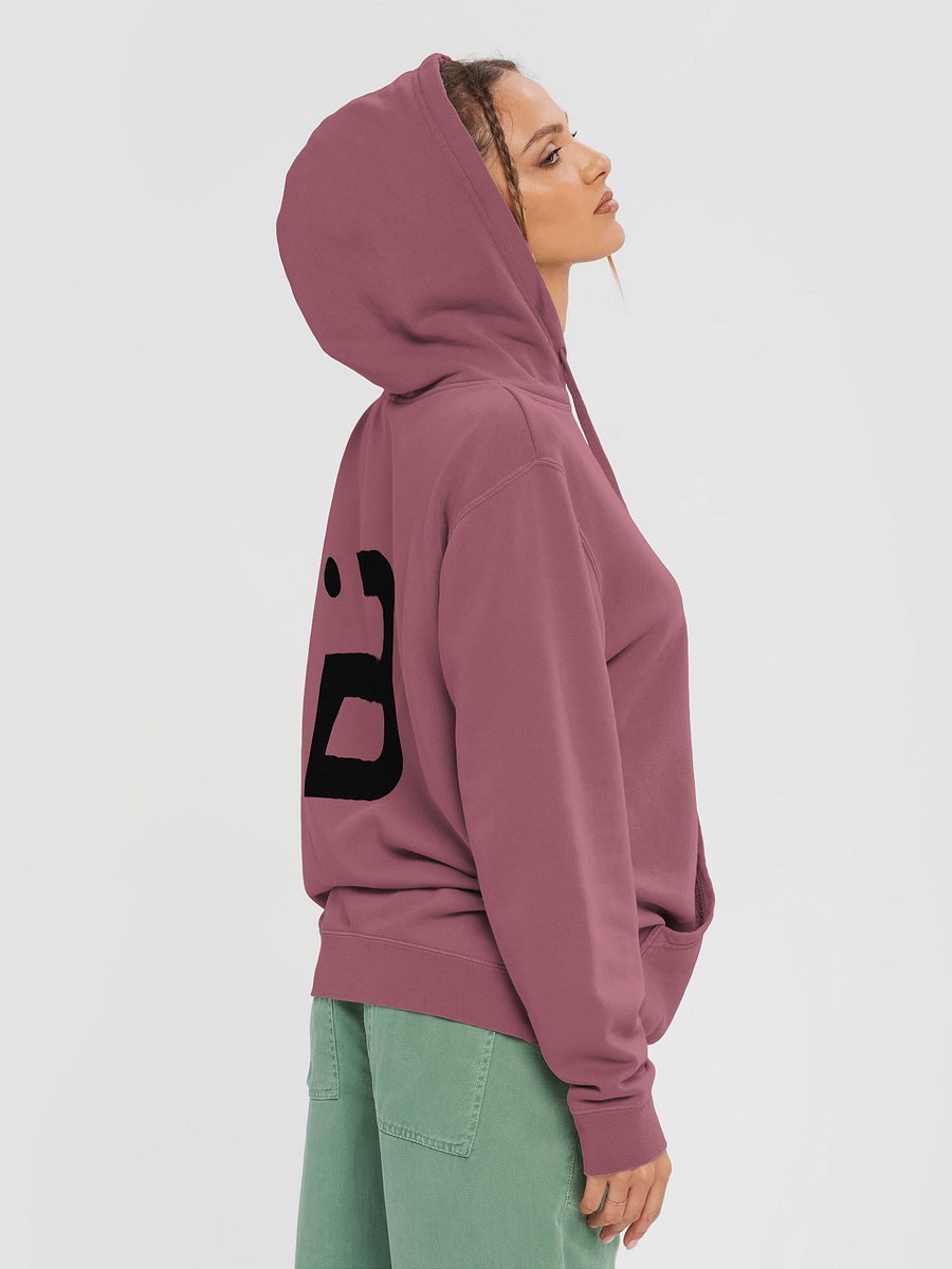 BUIII Originals Logo Black Premium Vintage Hoodie product image (33)