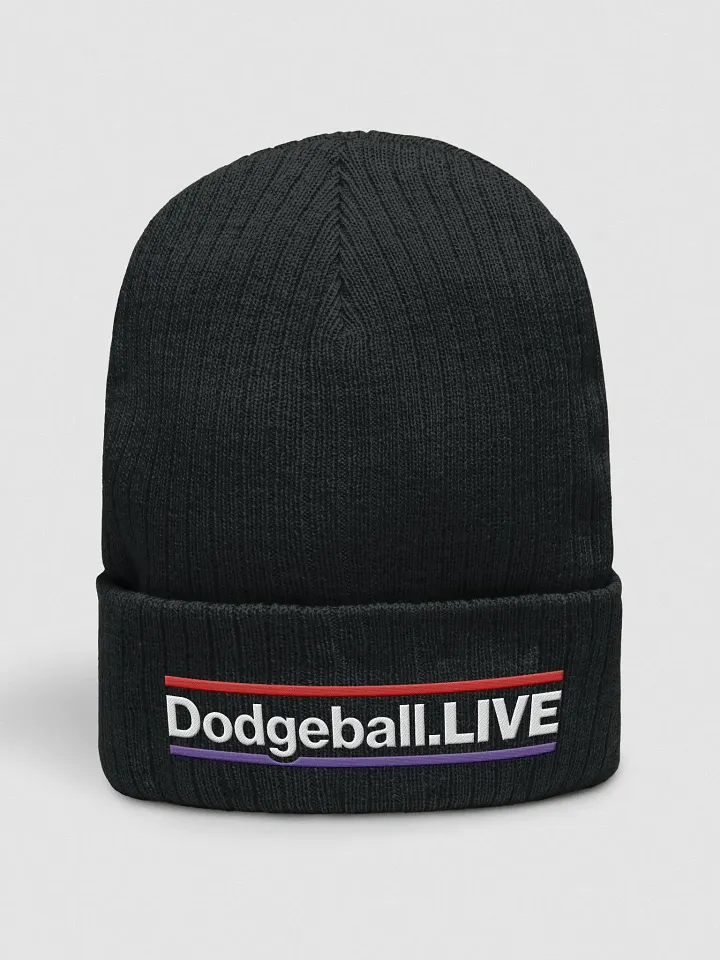 Dodgeball.LIVE HZ Knitted Toque (Light) product image (1)
