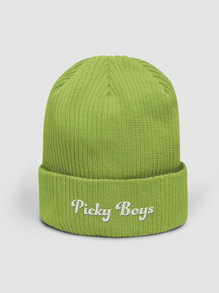 Picky Boys Embroidered Beanie (5 Colors) product image (11)