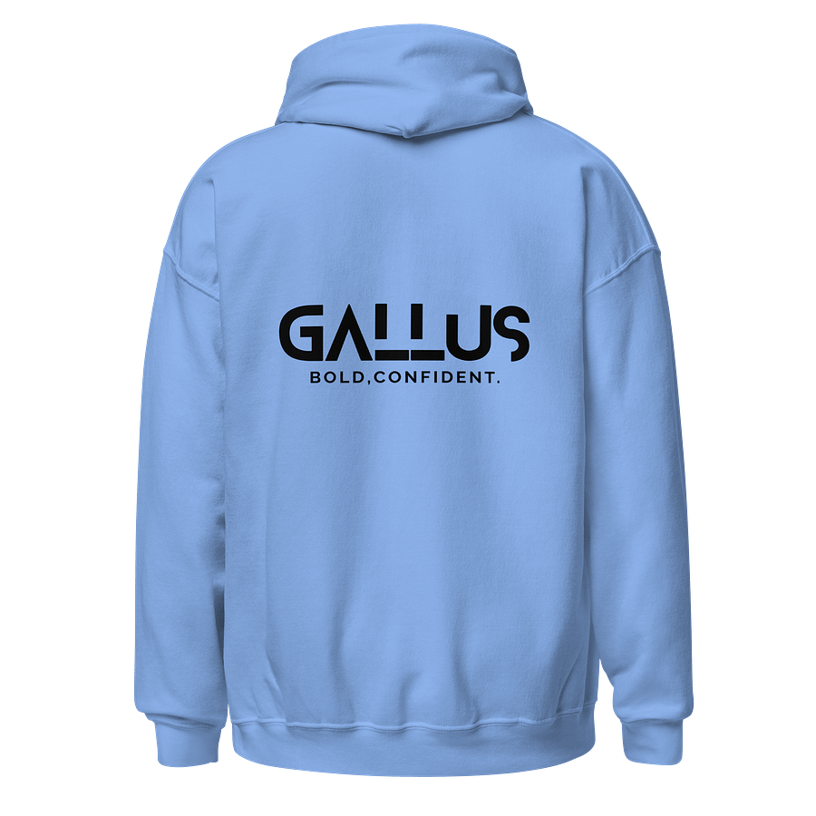 Gallus Hoodies - Embroidery Minimalistic product image (2)
