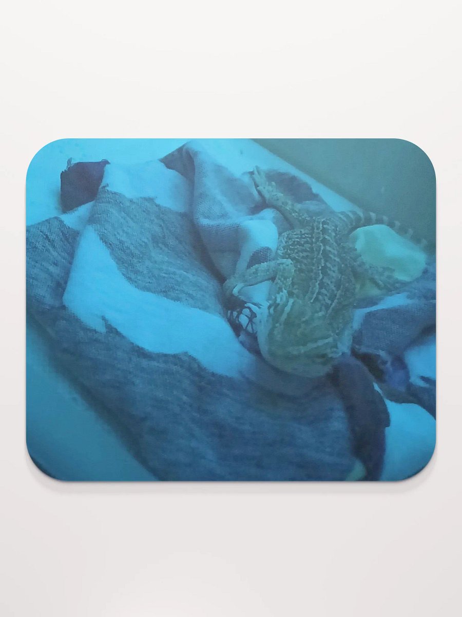 Sleepy Zora product image (2)