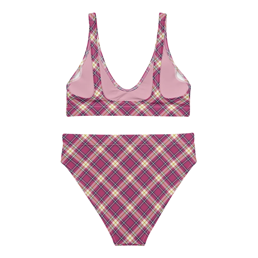 Raspberry Pink and Navy Plaid Bikini product image (4)