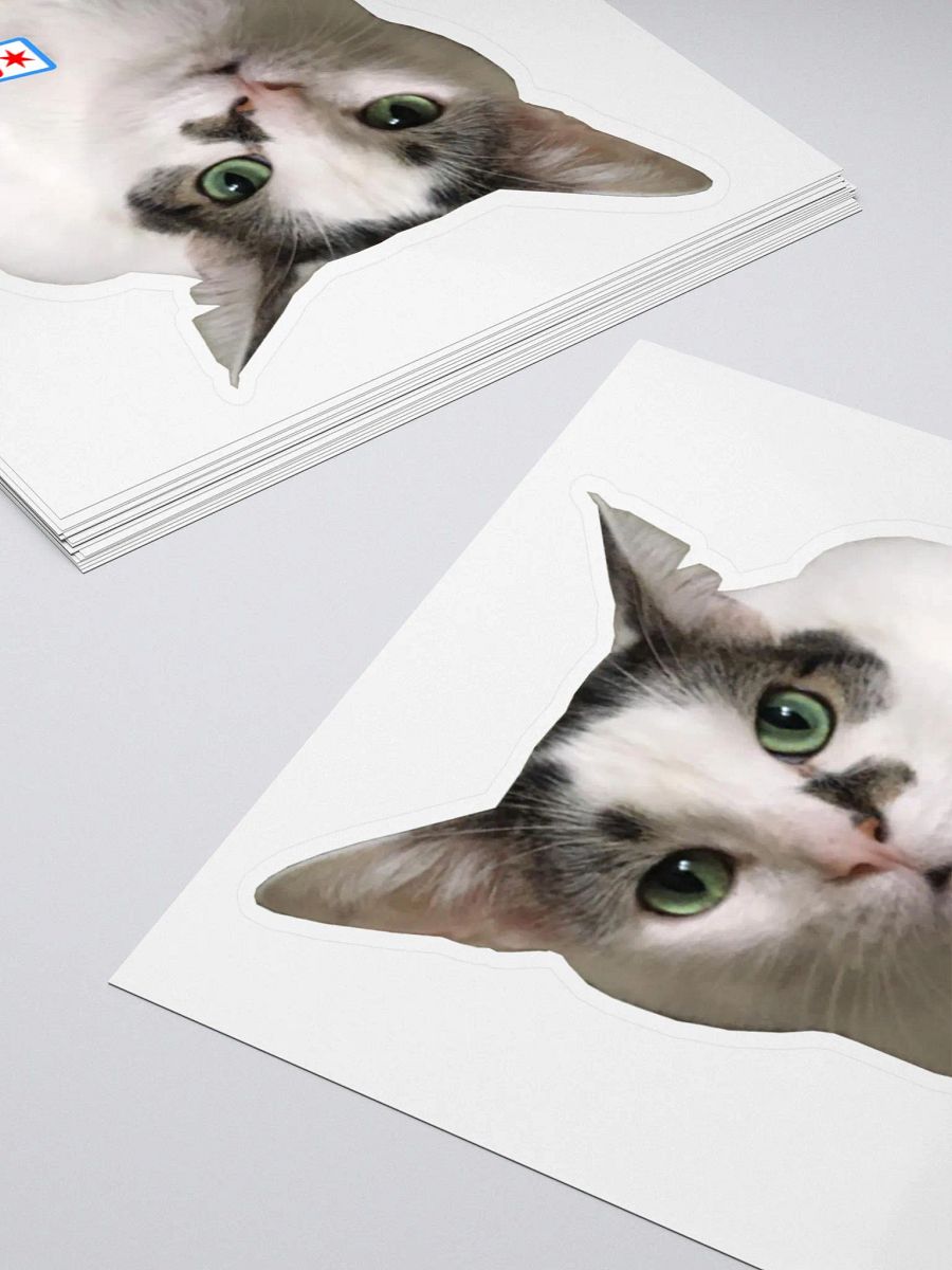 Chicago Corner Oreo Stream Cat Sticker product image (4)