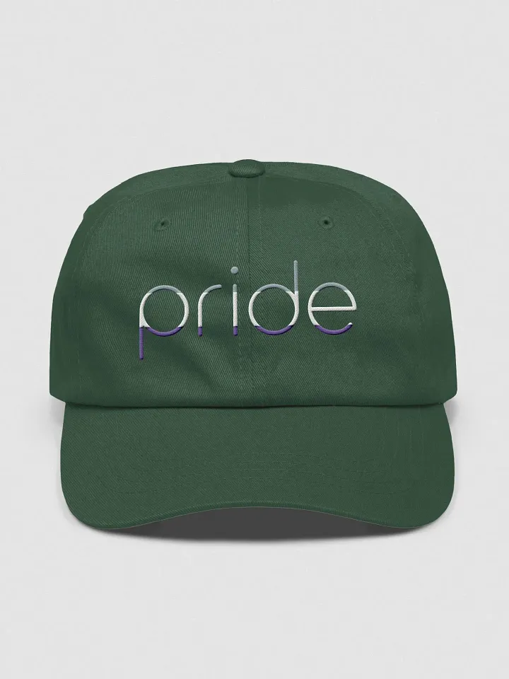 asexual pride in lowercase - Embroidered Hat product image (1)