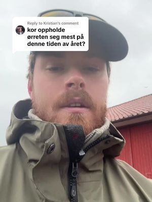 Replying to @Kristian Tips til høstfiske etter sjøørret: Se etter sund og bukter langs fjordarmer som ligger nær bekker! 🍂🐟  På denne tiden av året trekker sjøørreten ofte inn mot ferskvann for å gyte, så de er ofte i nærheten av disse områdene.  Sund og bukter gir skjul, roligere vann og ofte god tilgang på byttefisk – perfekte jaktplasser for høstsultne sjøørreter! Hvor fisker dere helst etter sjøørret om høsten? 👀👇 #sjøørretfiske #høstfiske #fluefiske #fisketips #catchandrelease #fjordfiske #bukterogsund #norskfiske #fiskeglede #norwegianfishing #troutfishing #tightlines #hvorerdusjøørret