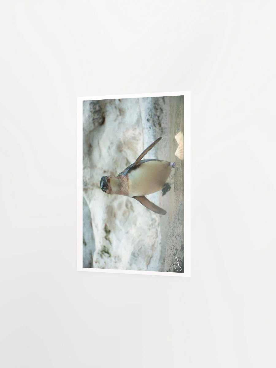 Penguins March - Print product image (2)