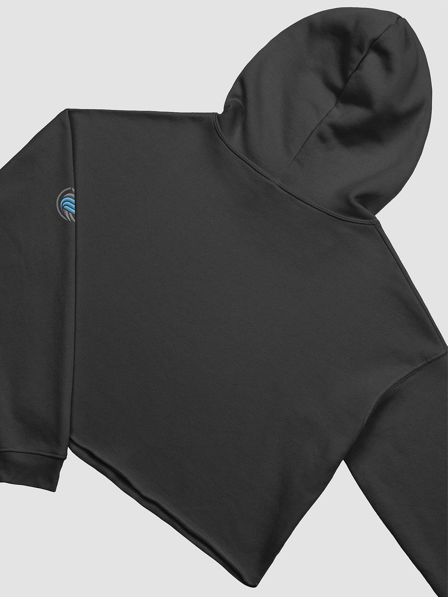 Sparrow Ranger crop hoodie product image (4)