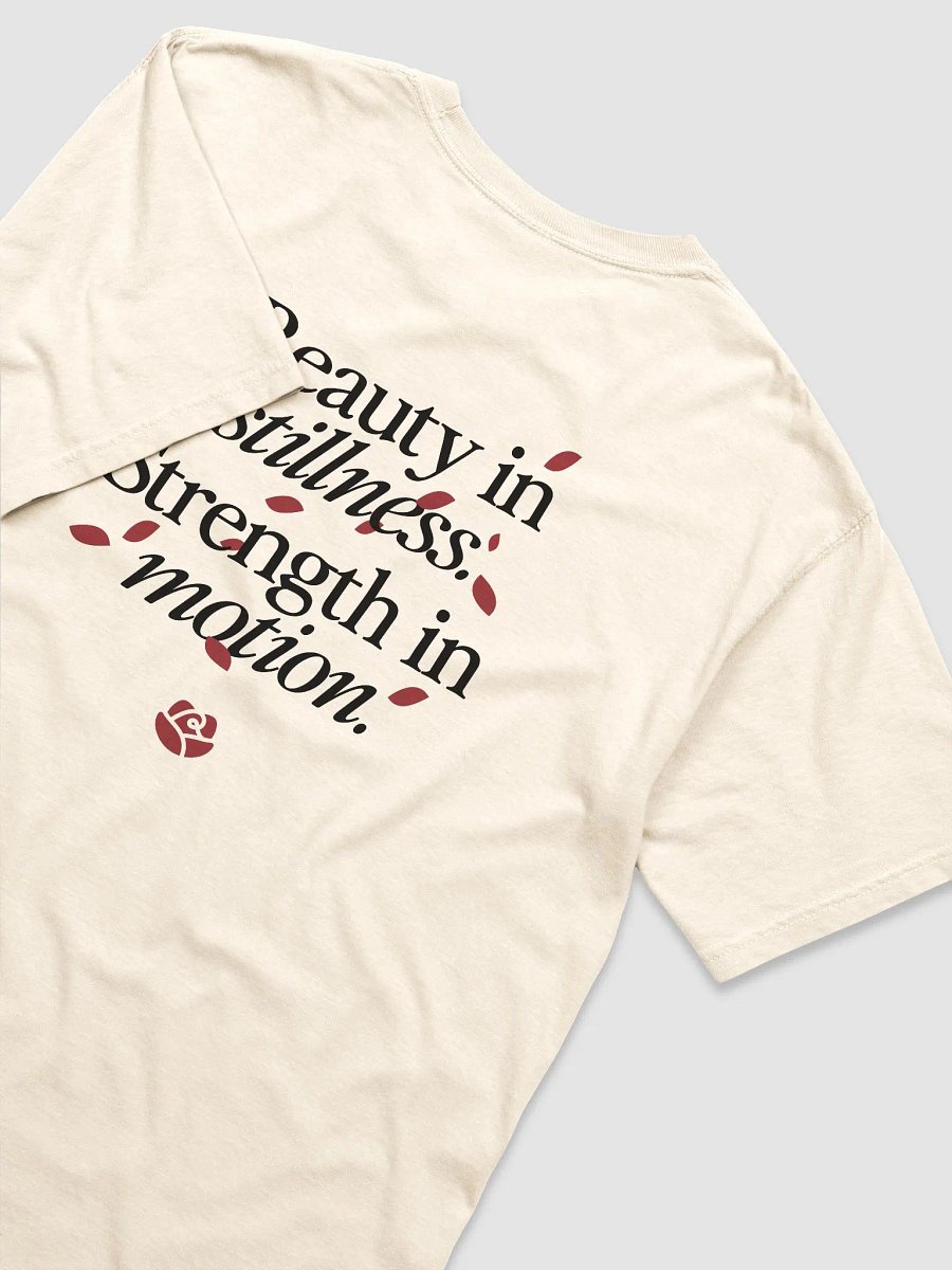 Comfort Colors Garment-Dyed Heavyweight T-Shirt product image (4)
