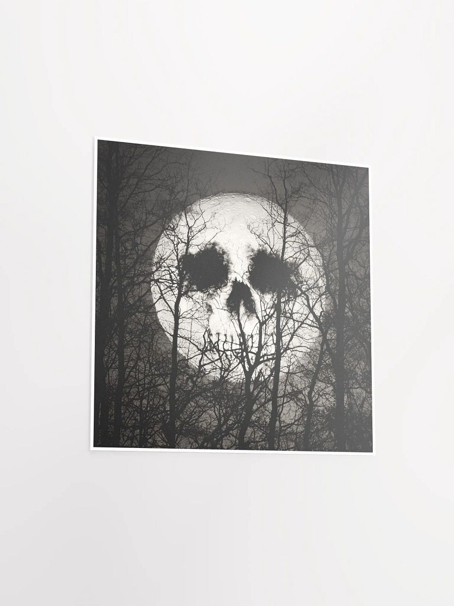 Phantom Forest product image (14)