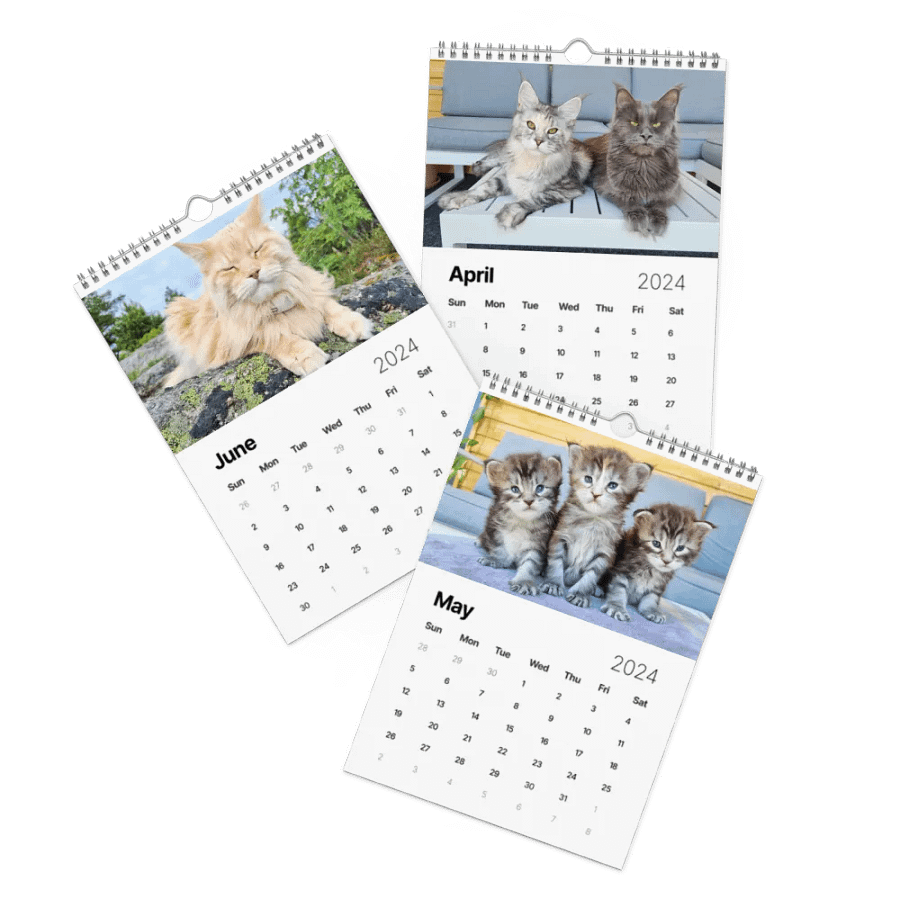 2024 Calendar - Adventures with Maine Coons product image (2)