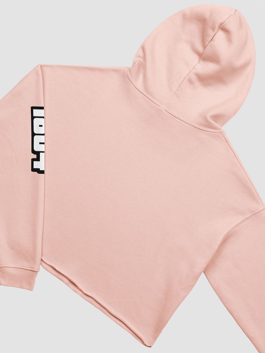 ZOE LADY CROP TOP HOODIE product image (4)