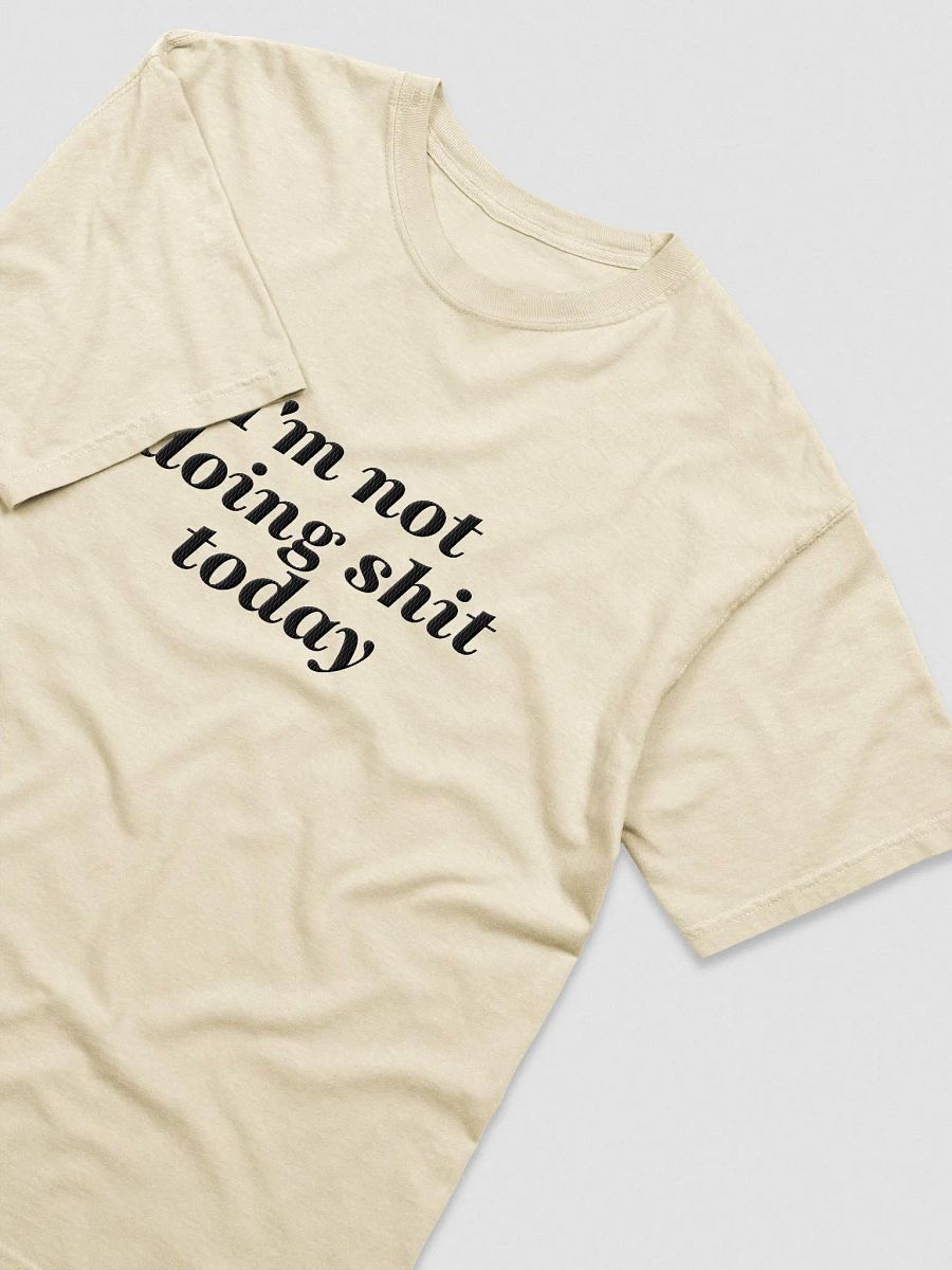 'Not Doing Shit' Embroidered Tee product image (3)