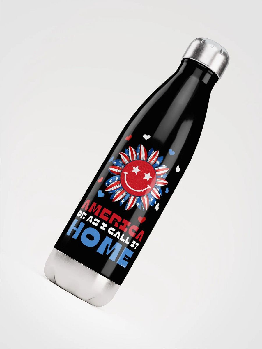 AMERICA OR AS I CALL IT HOME product image (4)