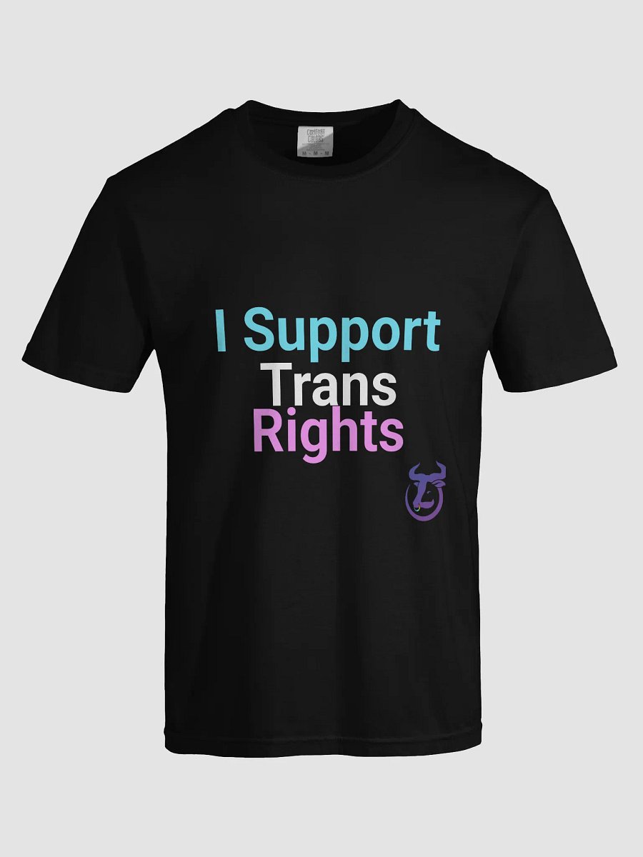 I Support Trans Rights T-Shirt product image (35)