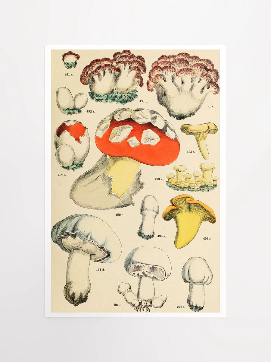 Mushroom Kingdom Illustrated Poster product image (4)