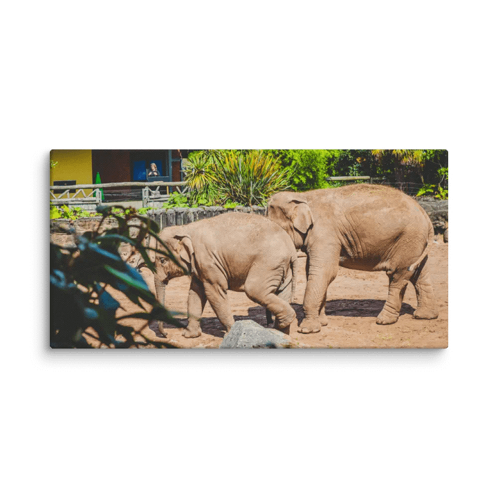 Wildlife Wanderers product image (2)