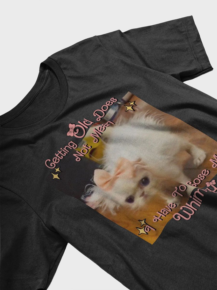 Old & Whimsy Supersoft T-Shirt product image (3)