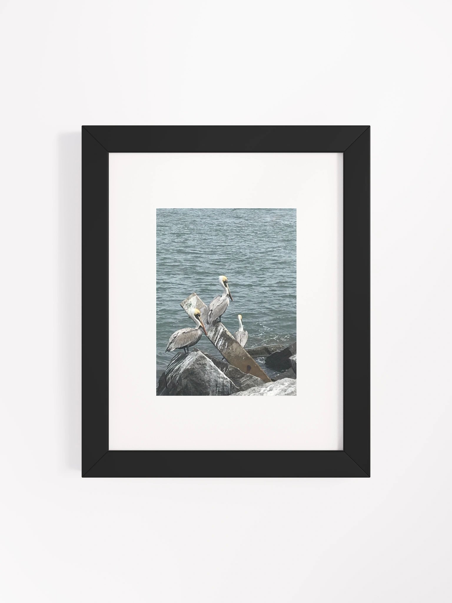 Coastal Avian Symphony Framed Poster product image (28)