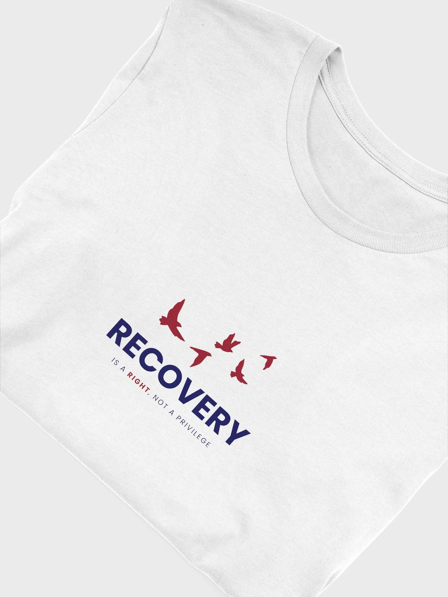 Recovery is a Right, Not a Privilege product image (3)